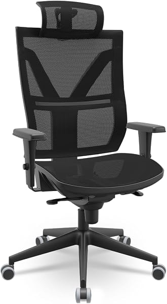Cadeira Ergonômica Darix NR17