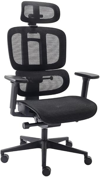 Cadeira Ergonômica Elements Sophy