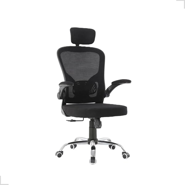 Cadeira Ergonômica Eurynom