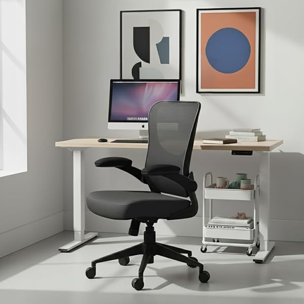 Cadeira Office DT3 Vita