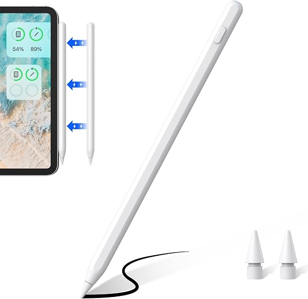 Caneta Stylus Zspeed 2 em 1